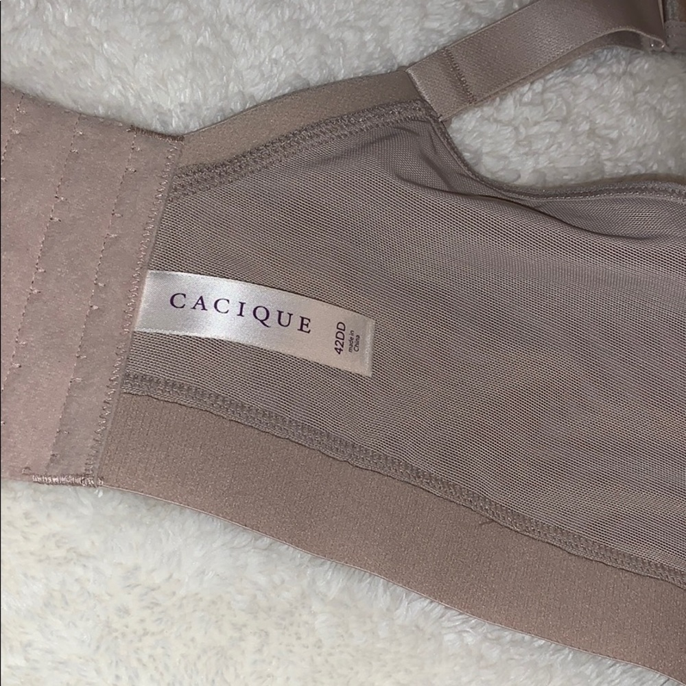 Full Coverage Bra - Picture 4 of 5